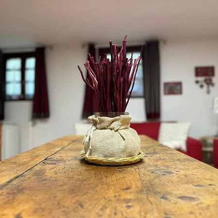 Abri Des Cimes, Dormire Tra Pietra E Legno Cir 0124 Апартаменты *